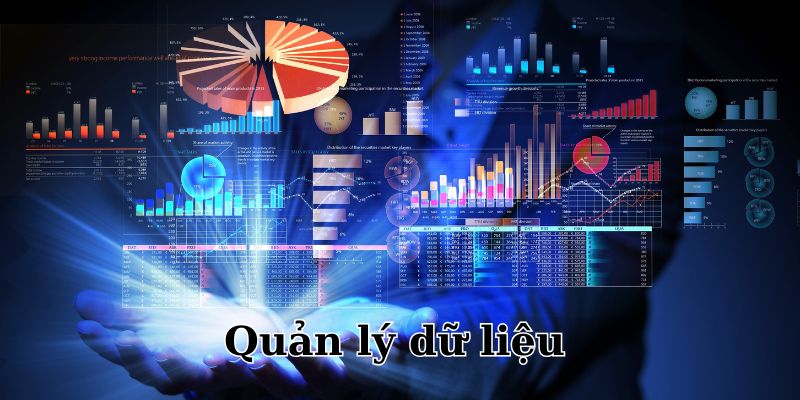 Tìm hiểu về dịch vụ quản lý dữ liệu ABCVIP